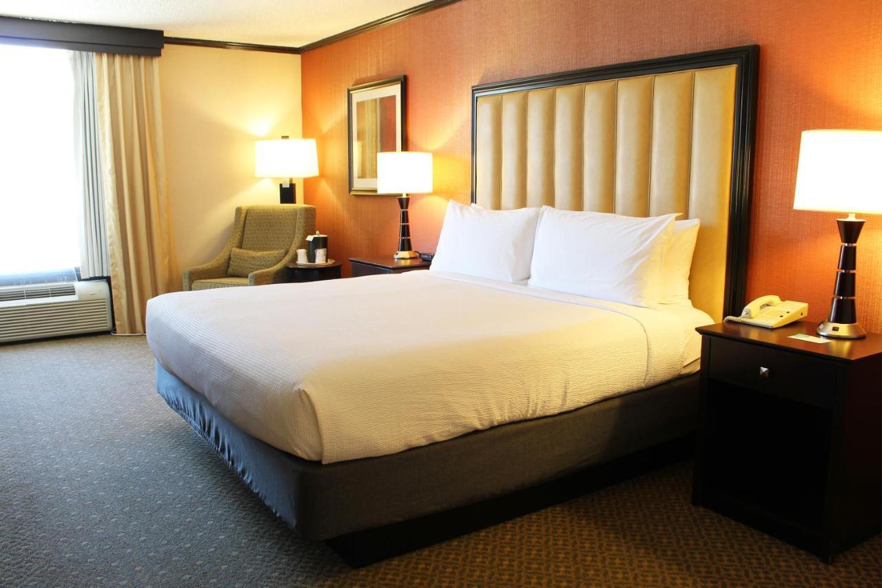 Executive Room, 1 King Bed, Mountain View